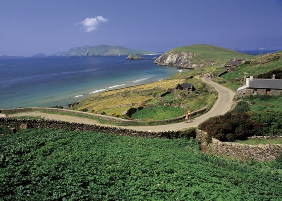 A coastal road and green fields on the Dingle Peninsula