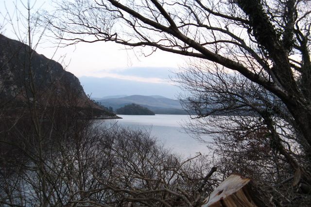 The wooded shore of Caragh Lake with hills beyond