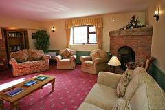 The living room with sofas, bookshelves and a fireplace