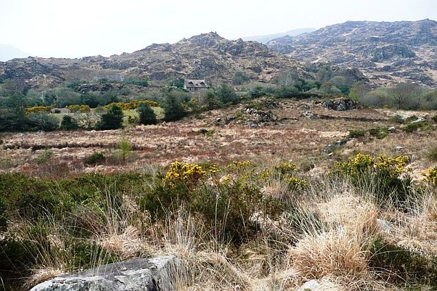 Rocky hills and bog in the Black Valley