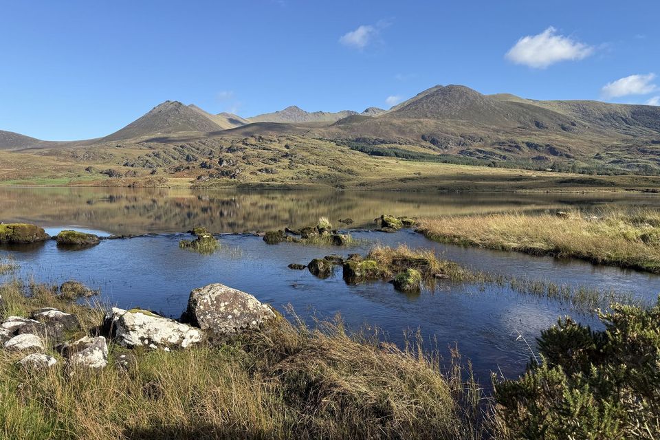 A bog lake near Glencar with mountains behind