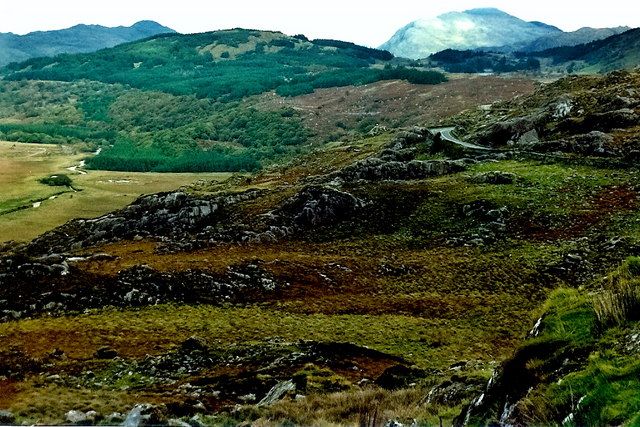 Mountains and bog seen from the road near Moll's Gap