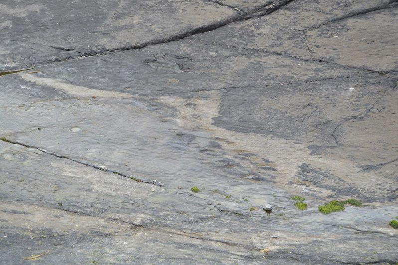 The rock shelf with the fossil tetrapod trackway on Valentia Island