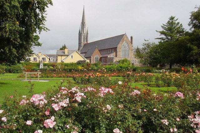 The rose garden in Tralee Town Park