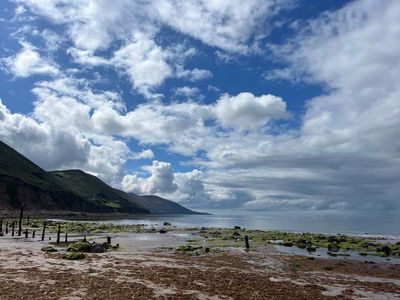 Old wooden posts on the shore at low tide below a green hill
