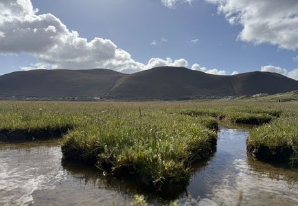 Salt-marsh channels below the mountains