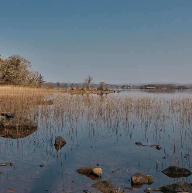 Lakeshore in Killarney National Park