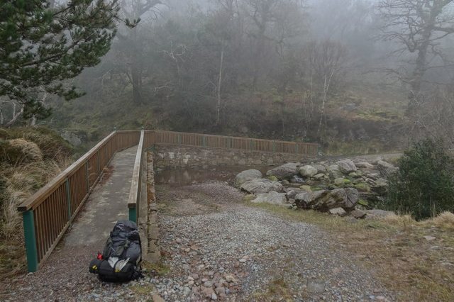 A wooden footbridge on the upper Tomies Wood trail in mist
