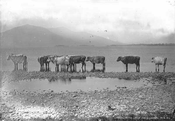 The Lower Lake, about 1880–1914
