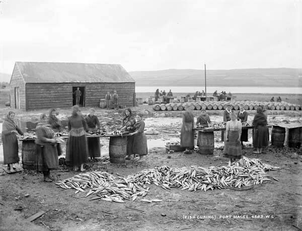 Fish Curing at Portmagee, about 1880–1914