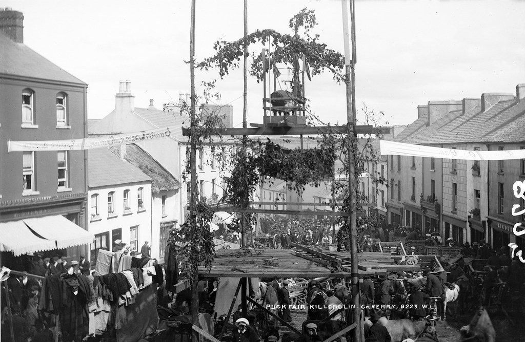 Puck Fair, about 1900