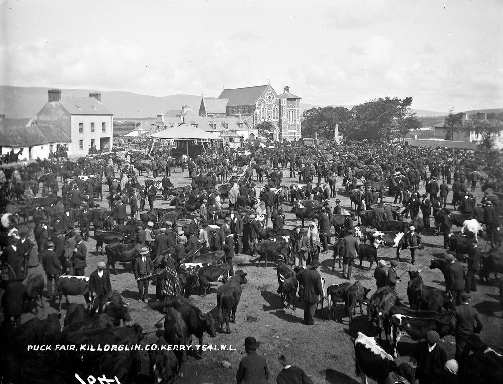 Cattle Fair at Puck, about 1880–1900