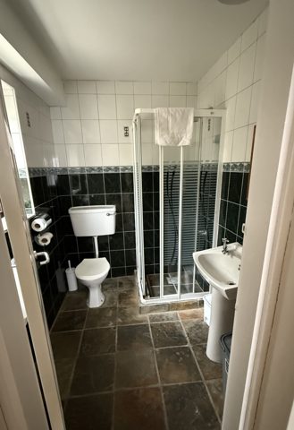 Deluxe King Room · Room 4, photo 3